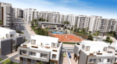 saudi egyptian developers