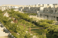 palm hills katameya