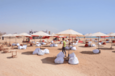 بلومار الدوم العين السخنة