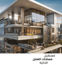 باراجون مول 2 العاصمة الادارية