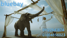 bluebay