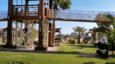 صاحب شركة مرسيليا
