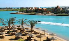 مكادي هايتس