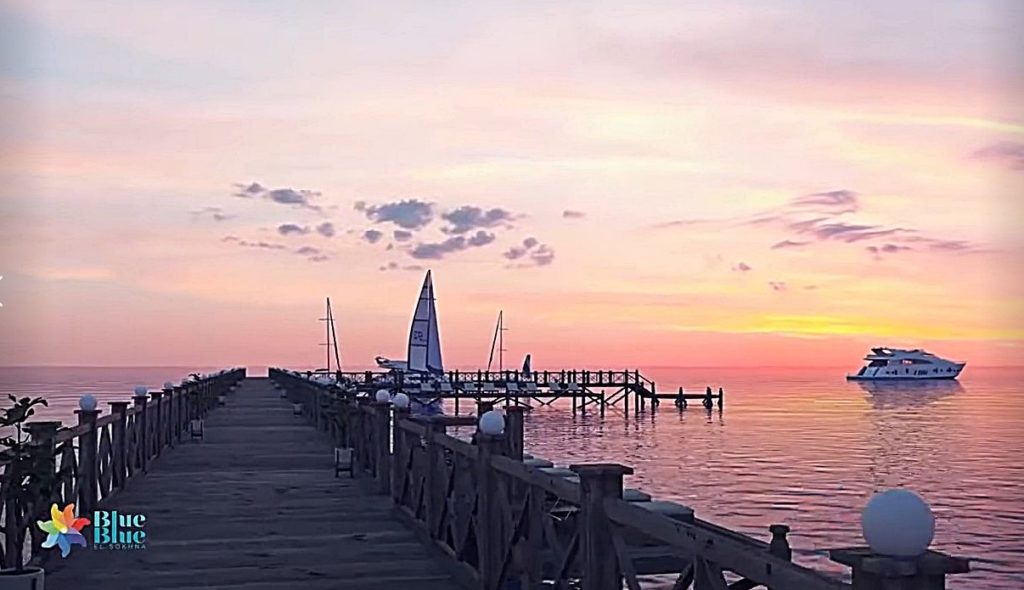 مطاوع جروب