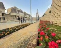 تاج سيتي التجمع
