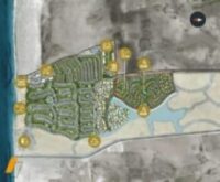 ماونتن فيو راس الحكمة