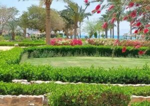 قرية مطارمة بيتش ريزيدنس رأس سدر