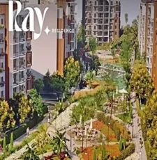 ray new capital