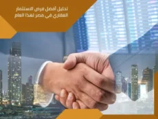 الفرص الاستثمارية في مصر