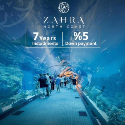 زهرة الساحل