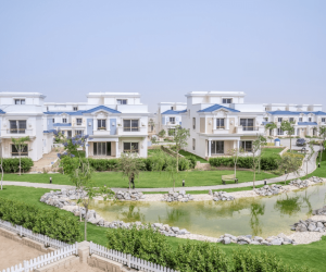 ماونتن فيو هايد بارك i villa